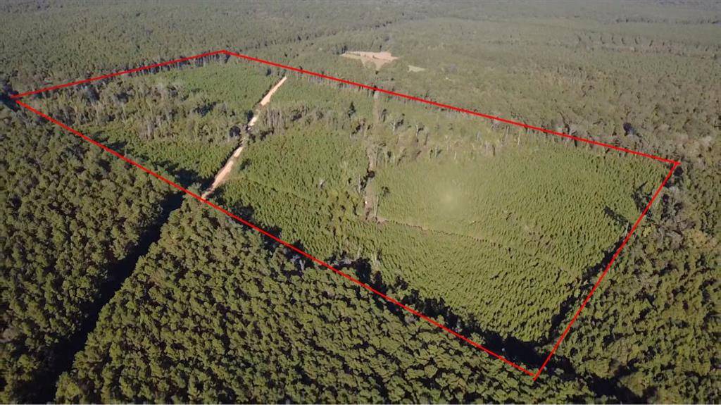 0 Pacton-Alexandria Road, Winnfield, LA 71483