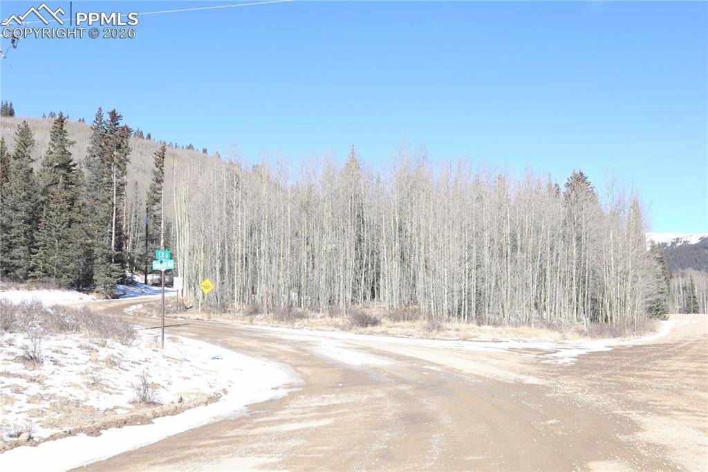 1480 Roberts RD, Fairplay, CO 80440