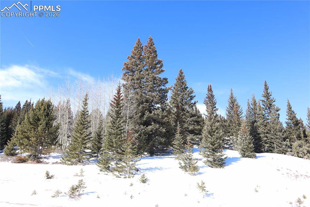 1480 Roberts RD, Fairplay, CO 80440