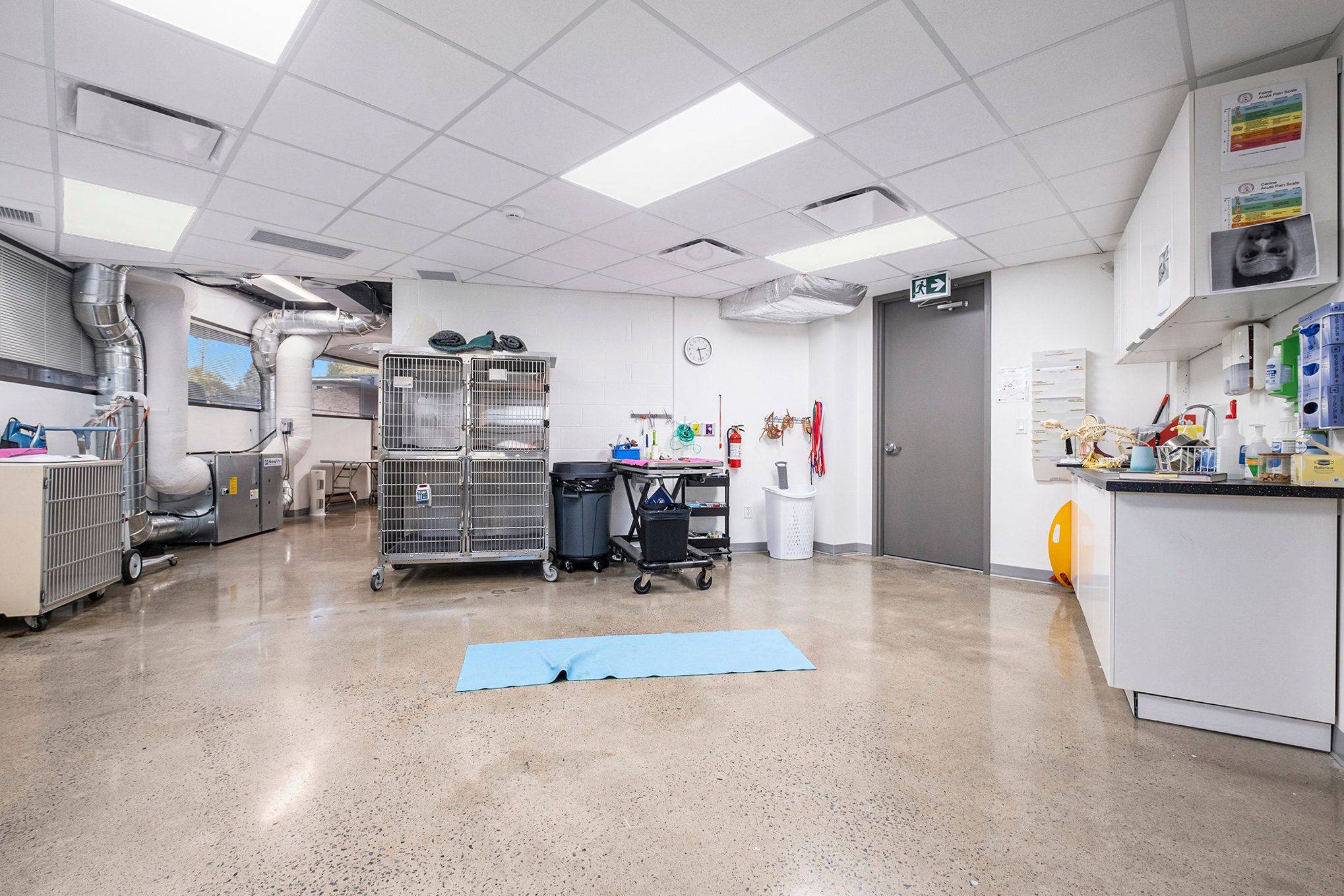 2300 CARLING AVE #102, Britannia Heights - Queensway Terrace N And Area, ON K2B 7G1