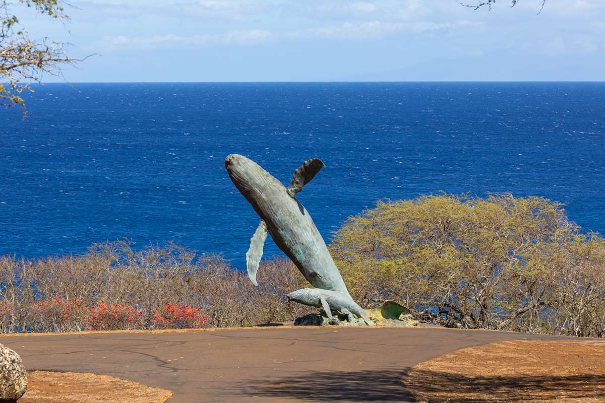 56-2891 HALEAKALA VIEW PL, Hawi, HI 96719