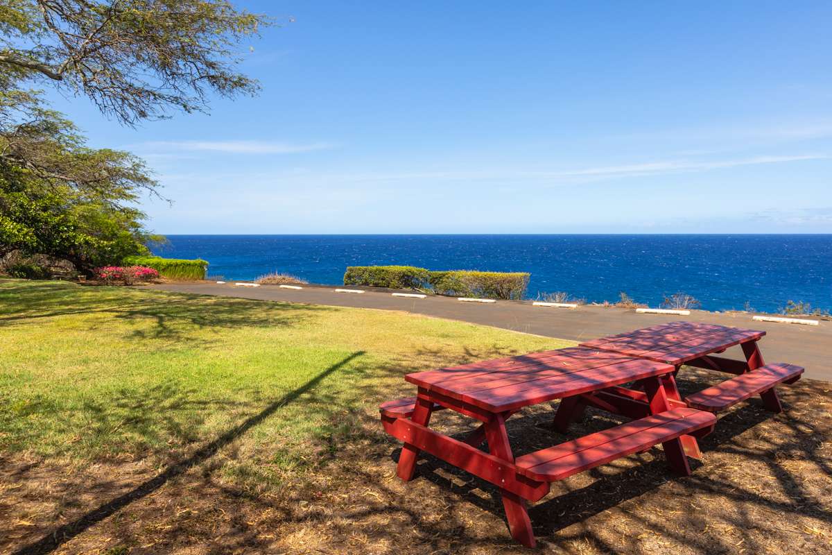 56-2891 HALEAKALA VIEW PL, Hawi, HI 96719