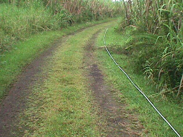 Pahoa, HI 96778