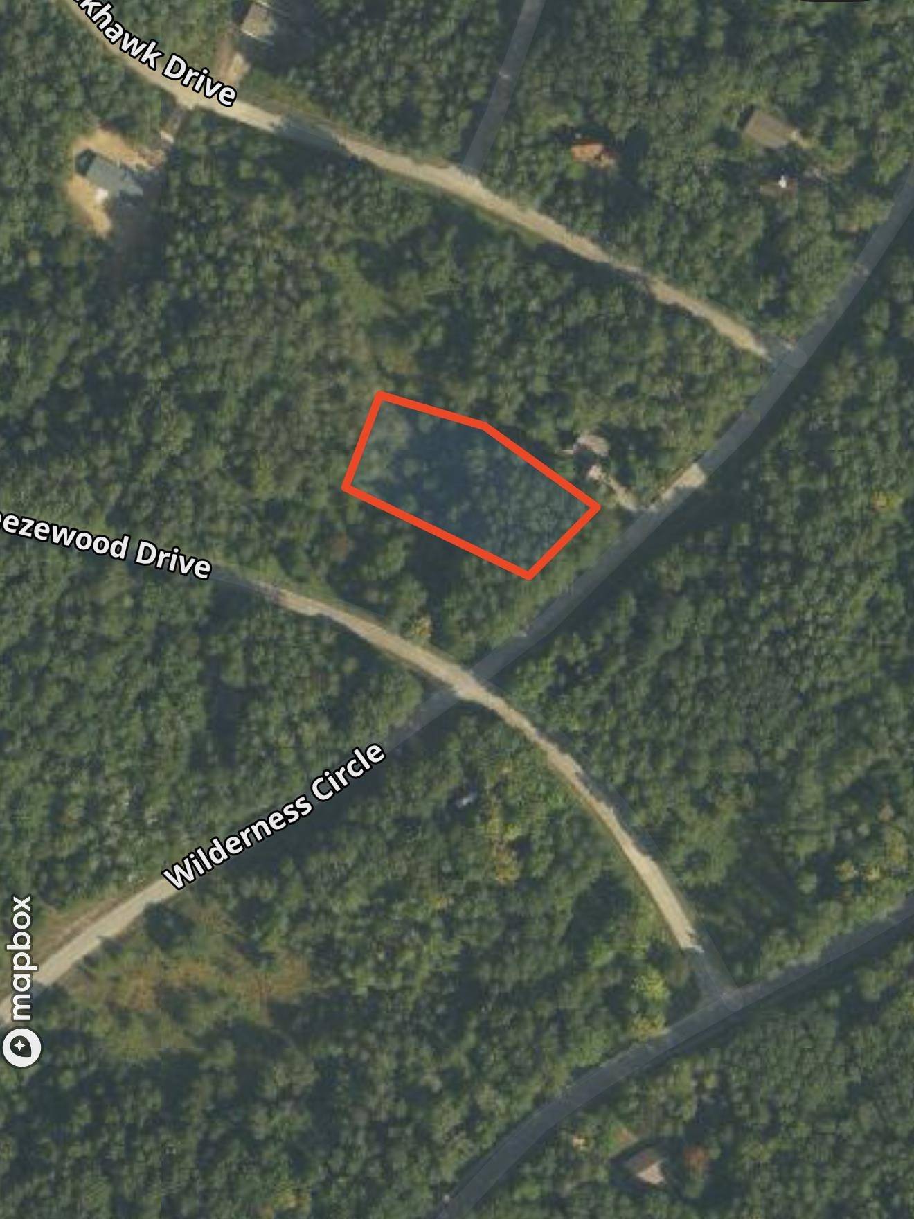 Lot 35 Wilderness DR, Mancelona Twp, MI 49659