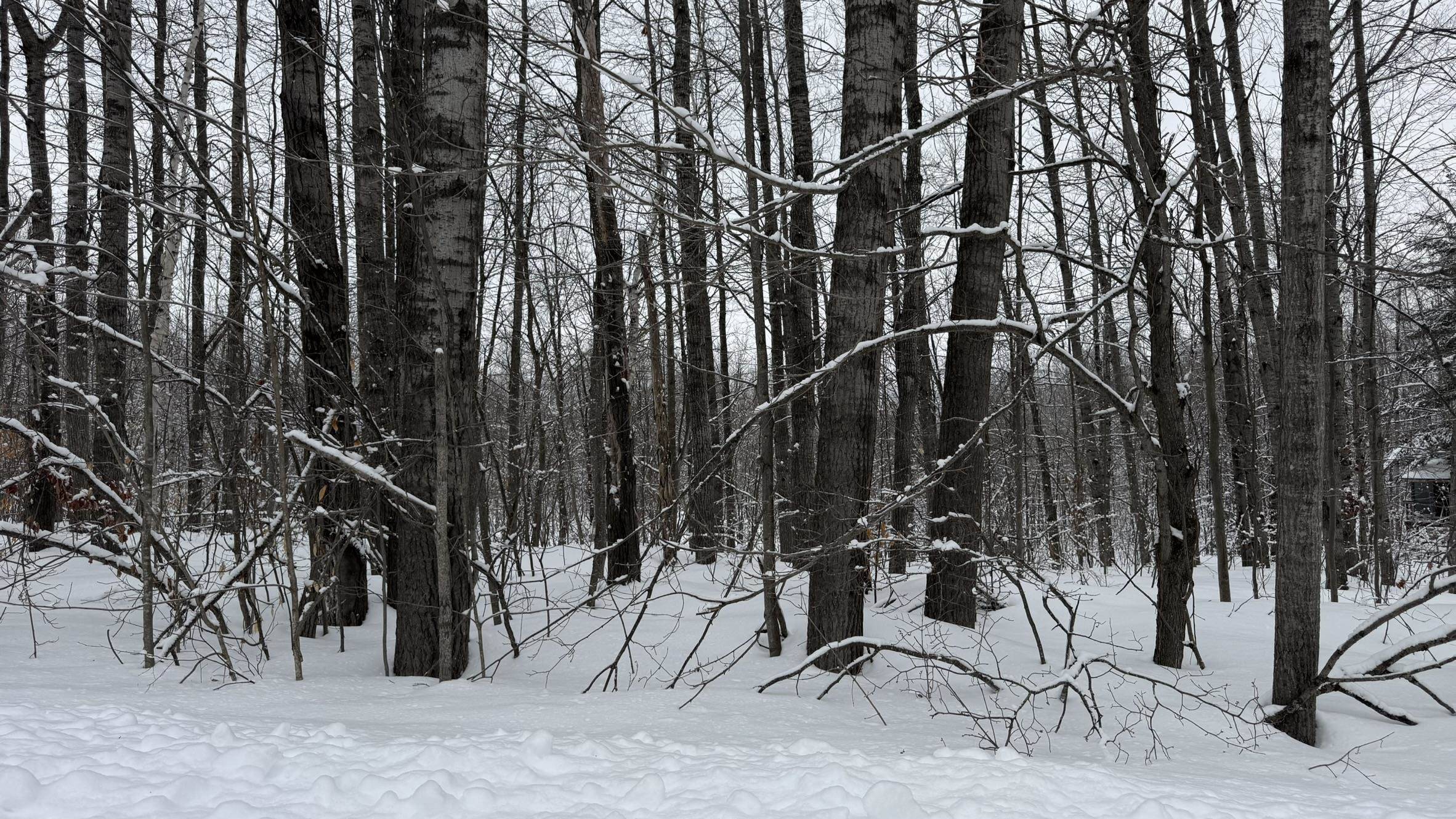 Lot 35 Wilderness DR, Mancelona Twp, MI 49659