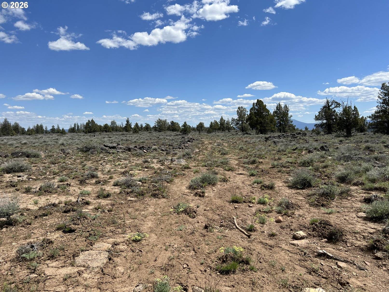 Wildpine Way #6, Beatty, OR 97621