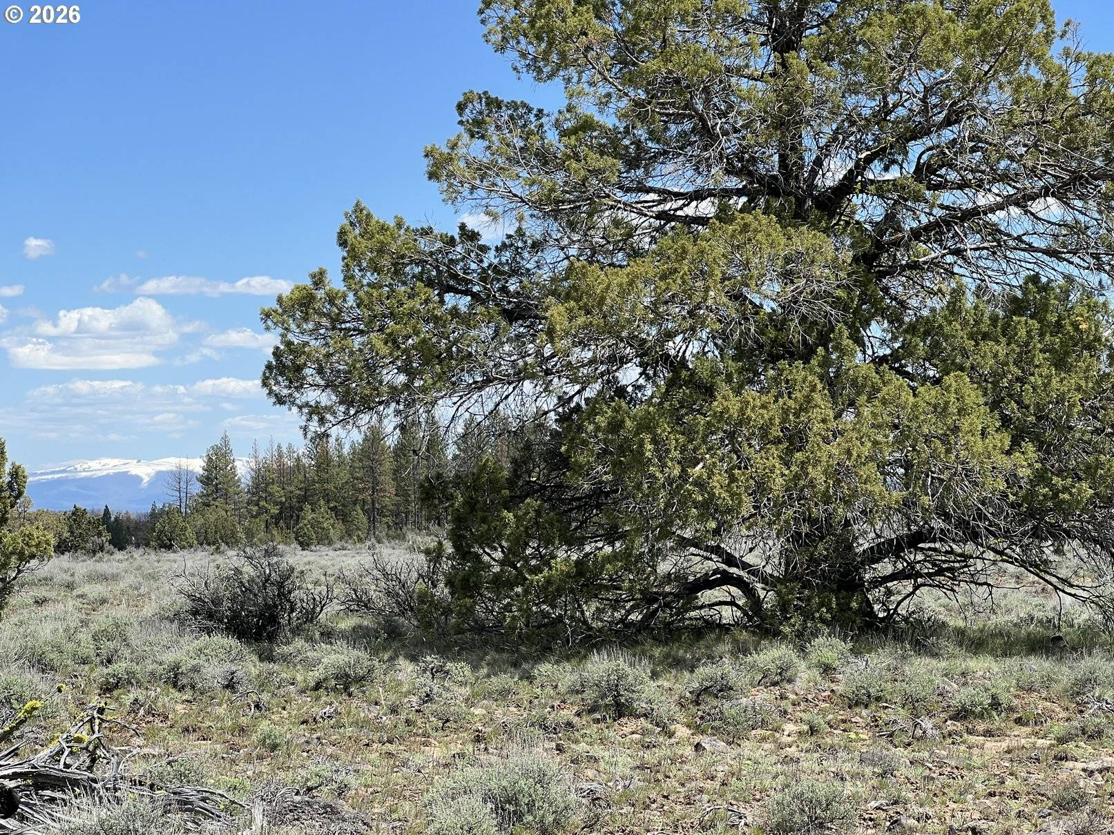 Wildpine Way #6, Beatty, OR 97621