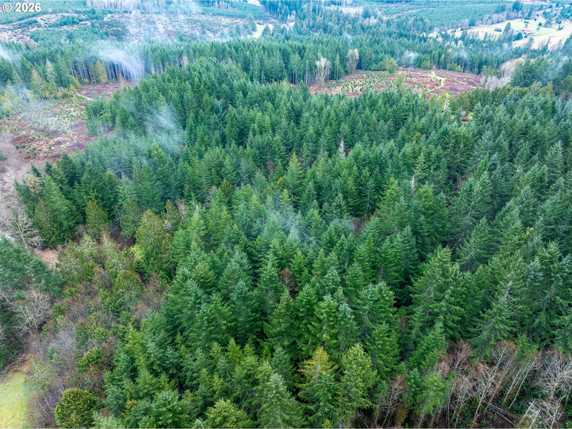 76382 Delena Mayger RD, Rainier, OR 97048