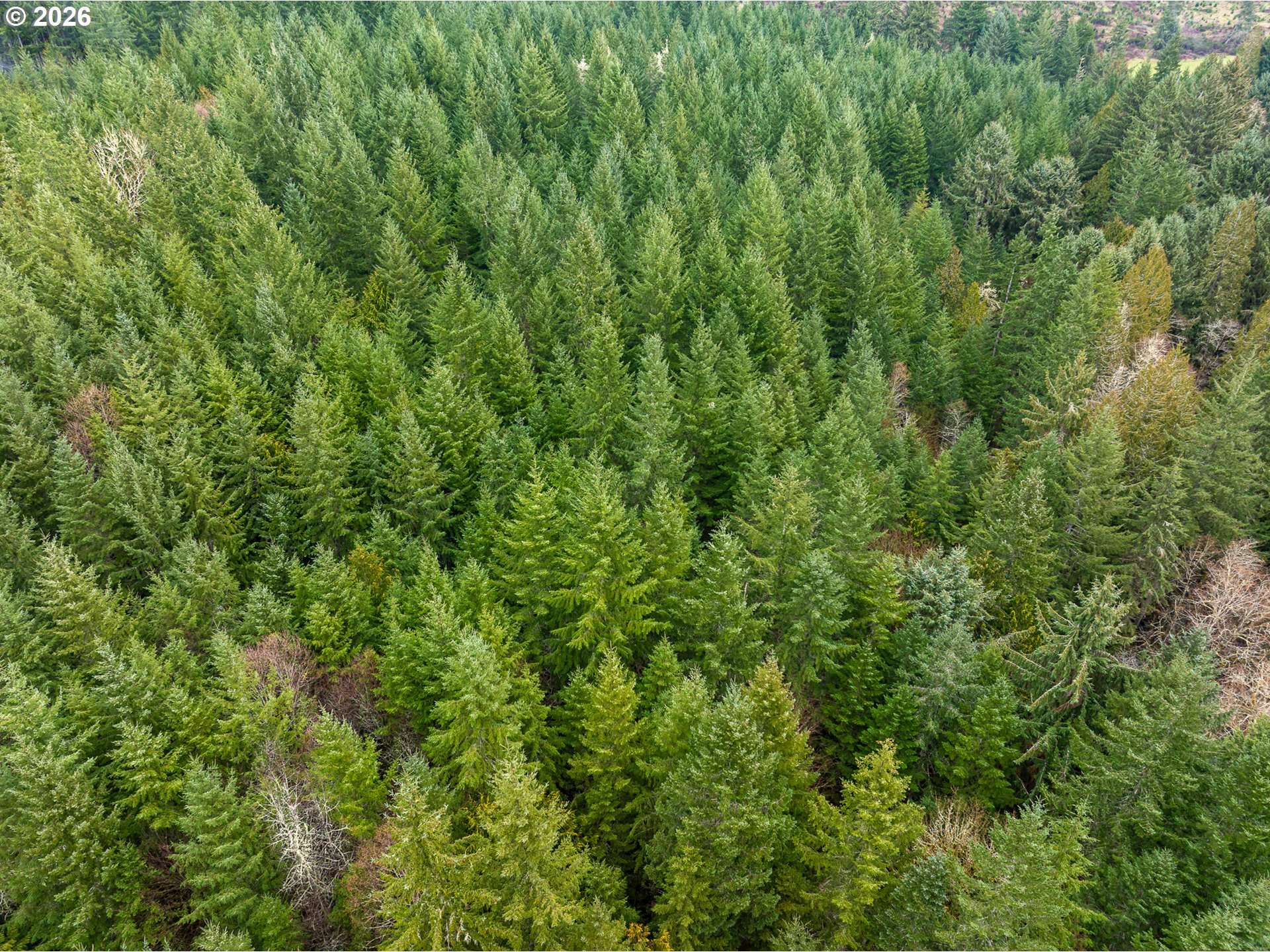 76382 Delena Mayger RD, Rainier, OR 97048