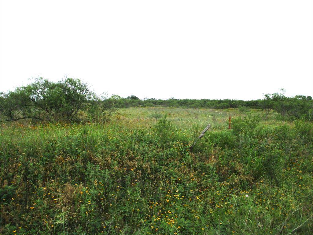 Lot 6 Old Joy Shannon, Bluegrove, TX 76352