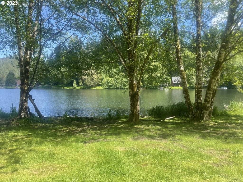 71378 NORTHSHORE DR, Birkenfeld, OR 97016