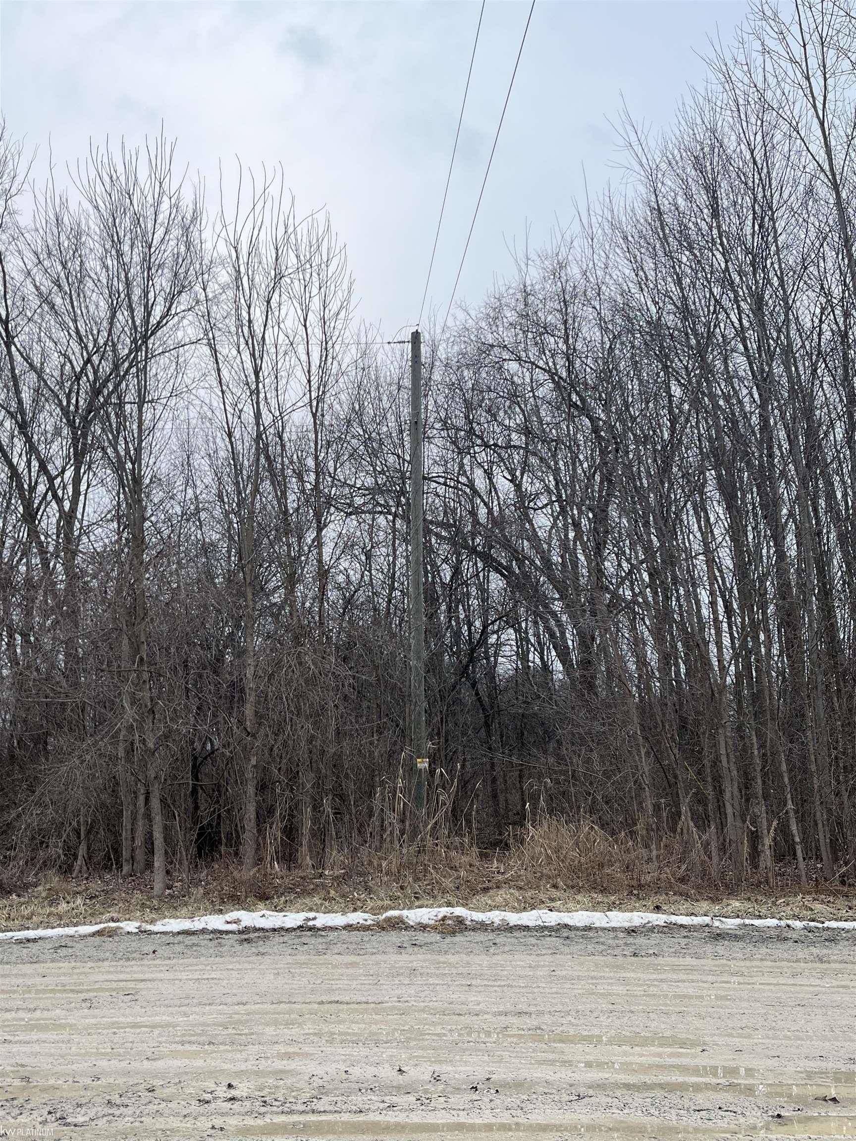 0 Fox Ridge 1-A LN, Berlin Twp, MI 48002