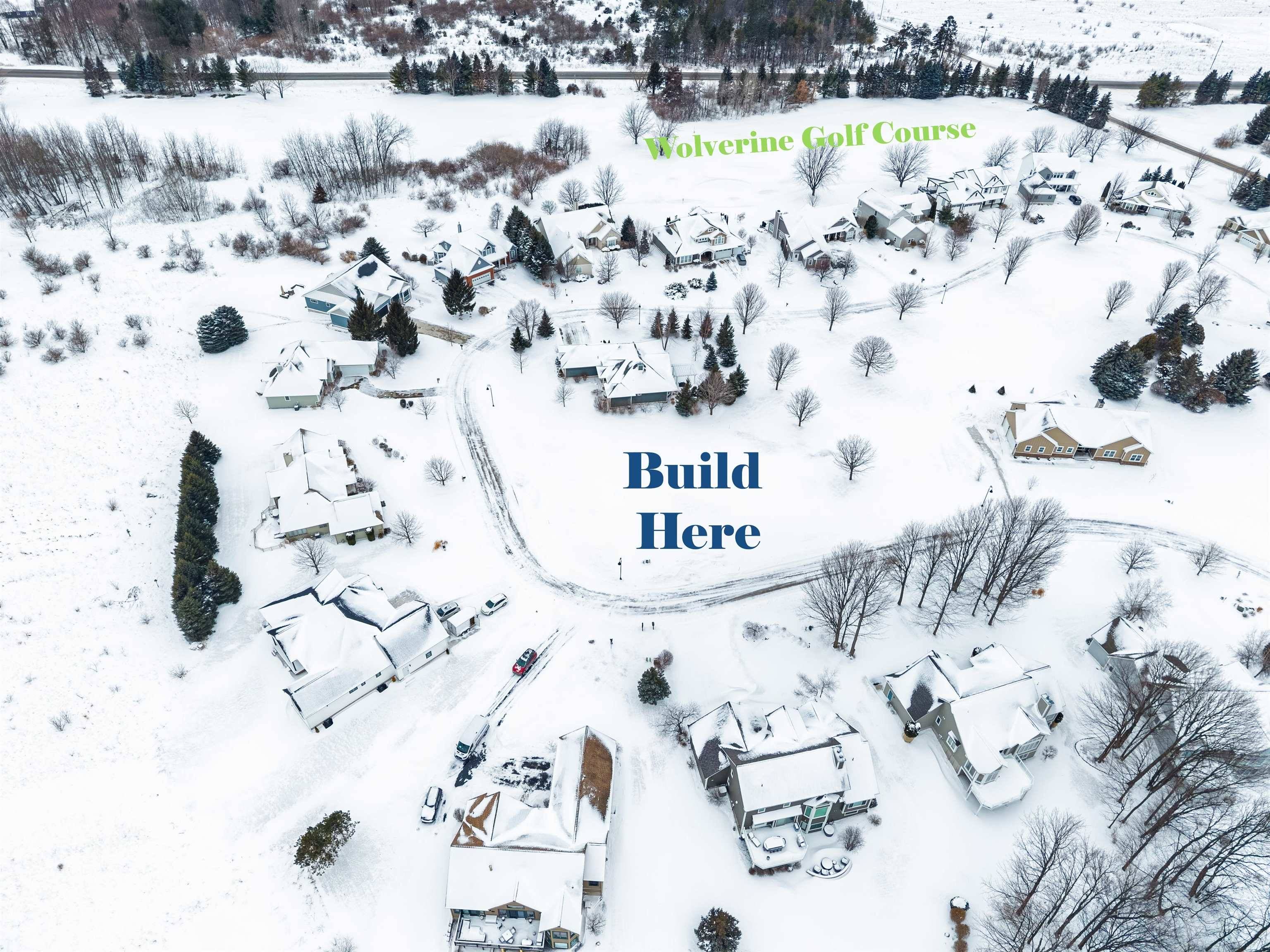 4231 Wolverine DR, Acme Twp, MI 49690