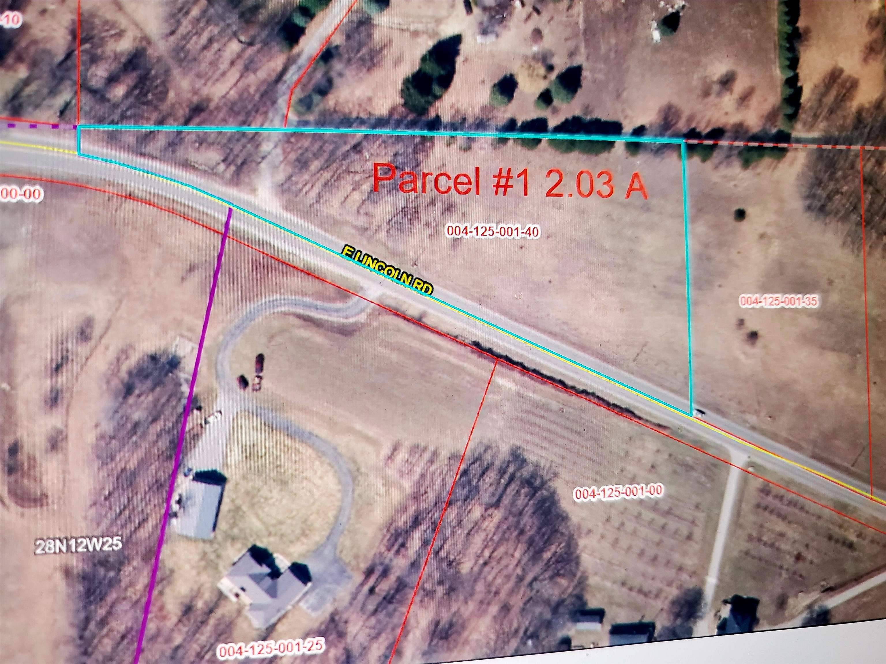 Parcel 1 E Lincoln RD, Elmwood Twp, MI 49621