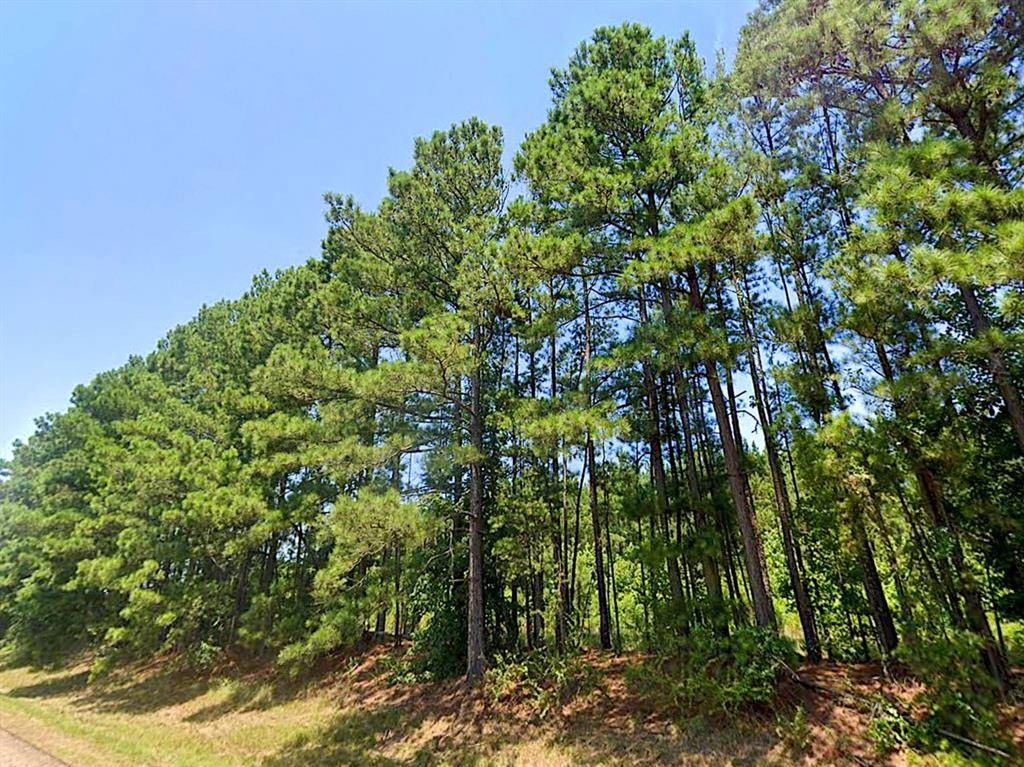 0 HWY 155, Avinger, TX 68846