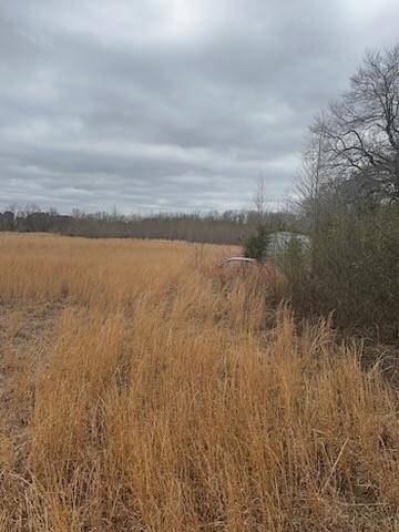 0 County Road 4322, Avery, TX 75554