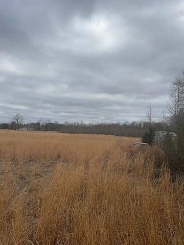 0 County Road 4322, Avery, TX 75554