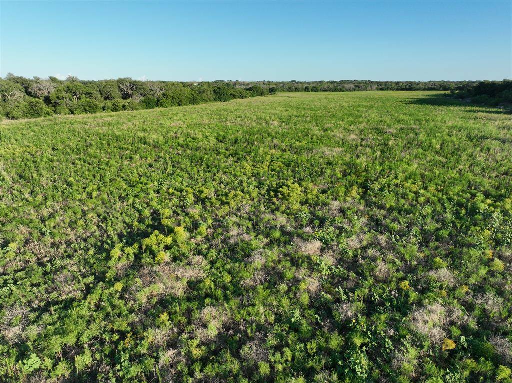 TBD CR 137, Carlton, TX 76436