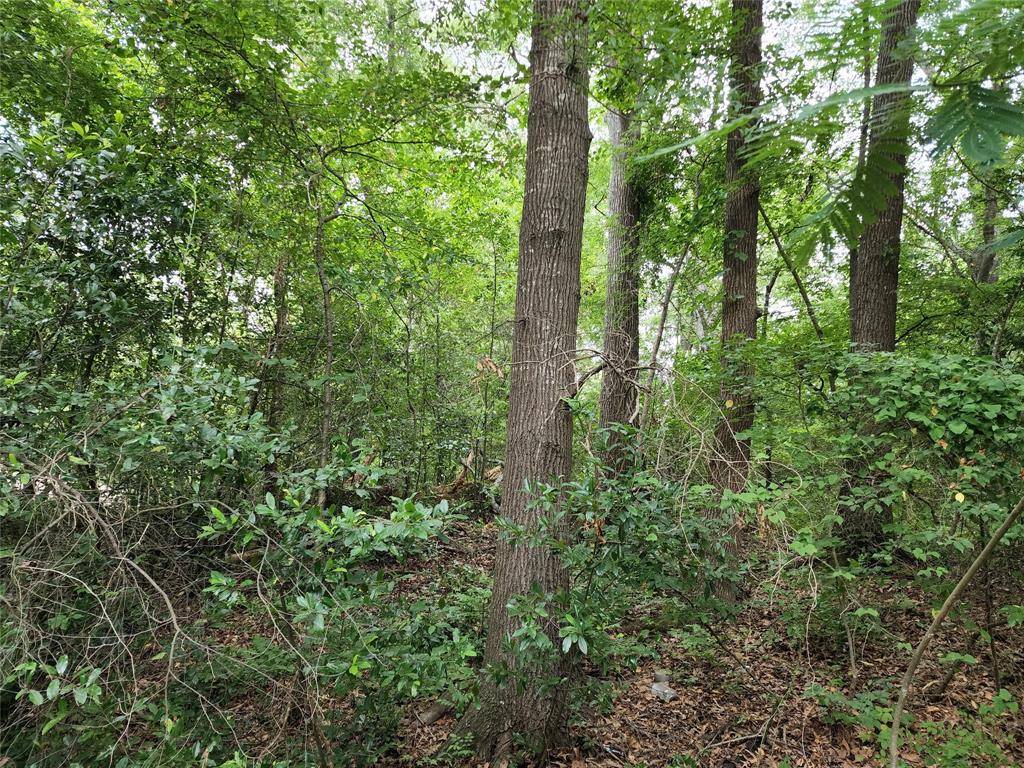 TBD Flournoy Street, Quitman, TX 75783