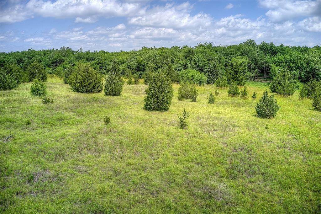 Tract 20 CR 4813, Commerce, TX 75428