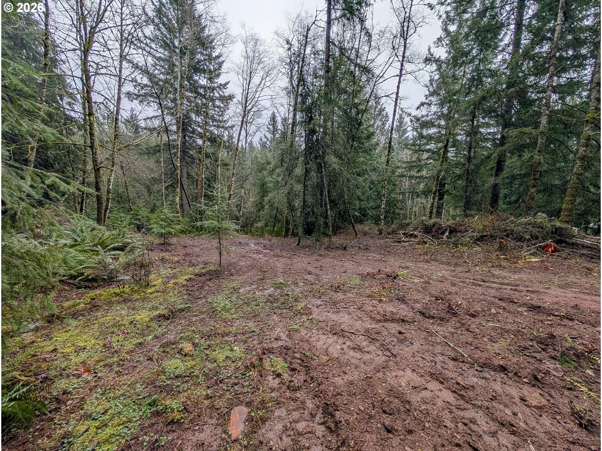 000 NE BERRY RD, Battle Ground, WA 98604