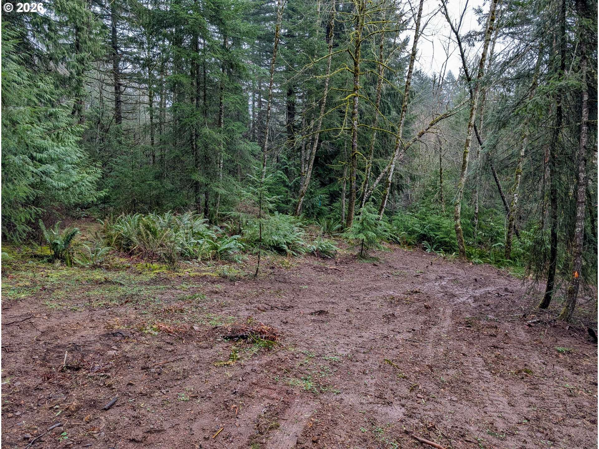 000 NE BERRY RD, Battle Ground, WA 98604