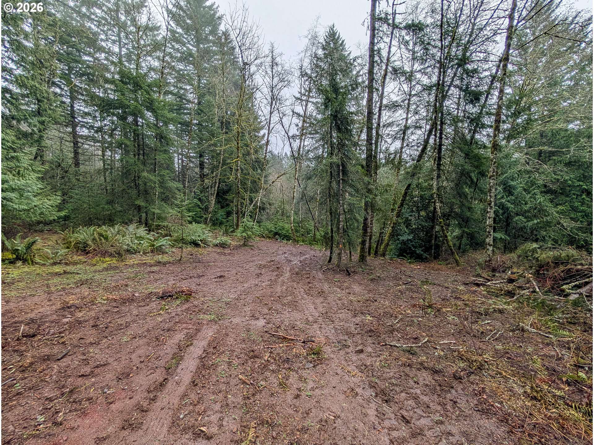 000 NE BERRY RD, Battle Ground, WA 98604