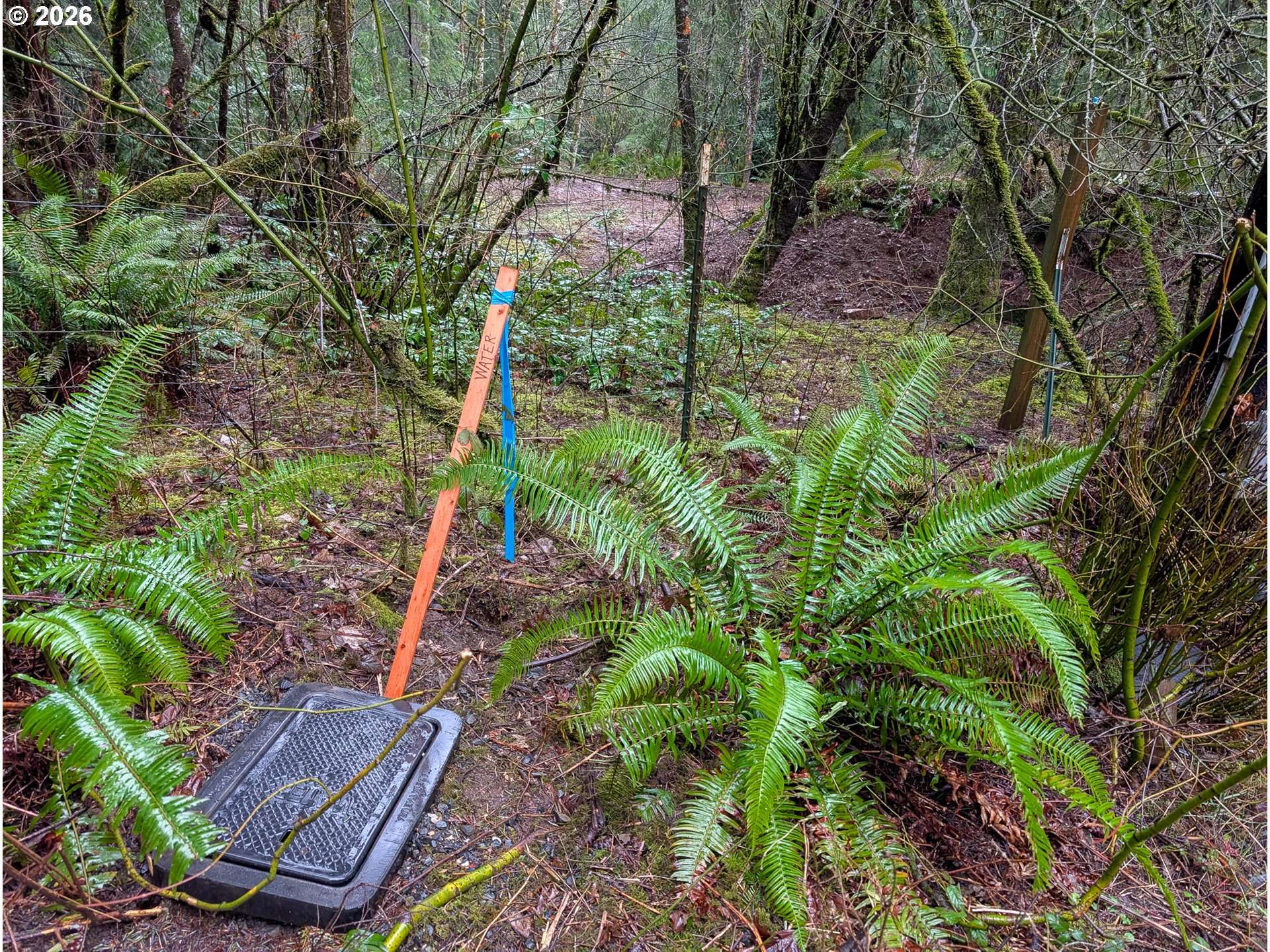 000 NE BERRY RD, Battle Ground, WA 98604