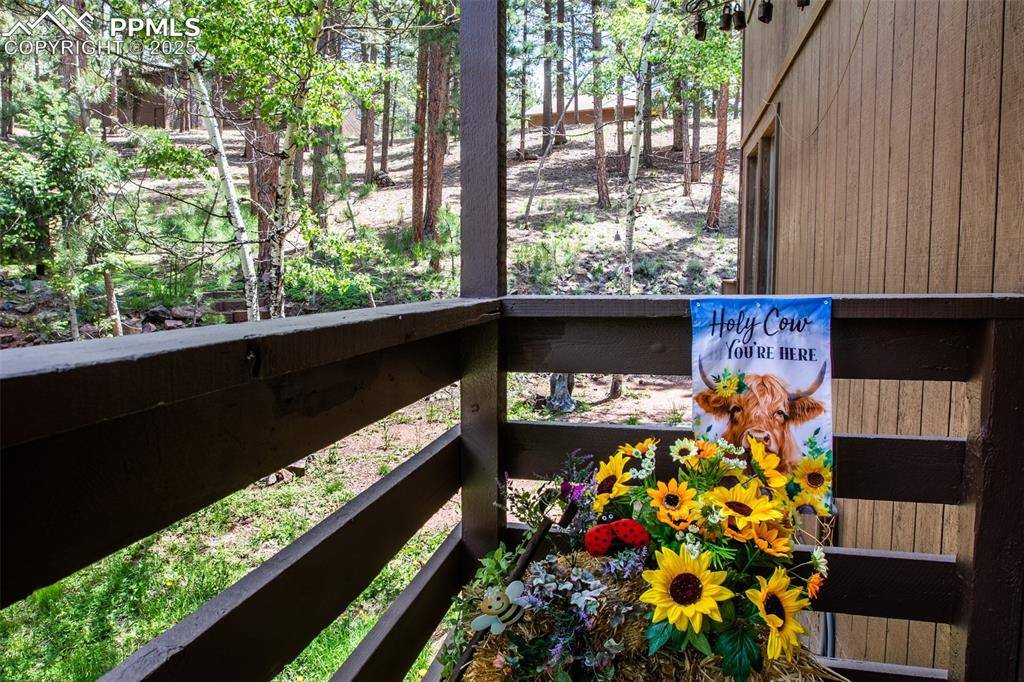 560 Manor CT #A, Woodland Park, CO 80863