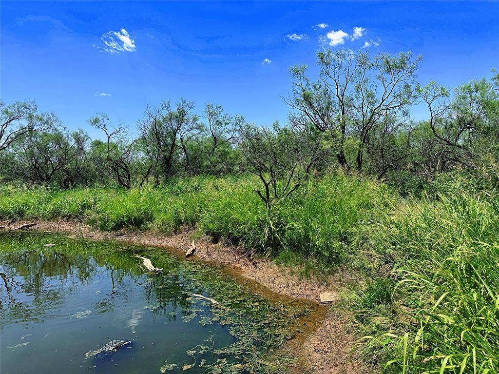 12415 County Road 356, Anson, TX 79501