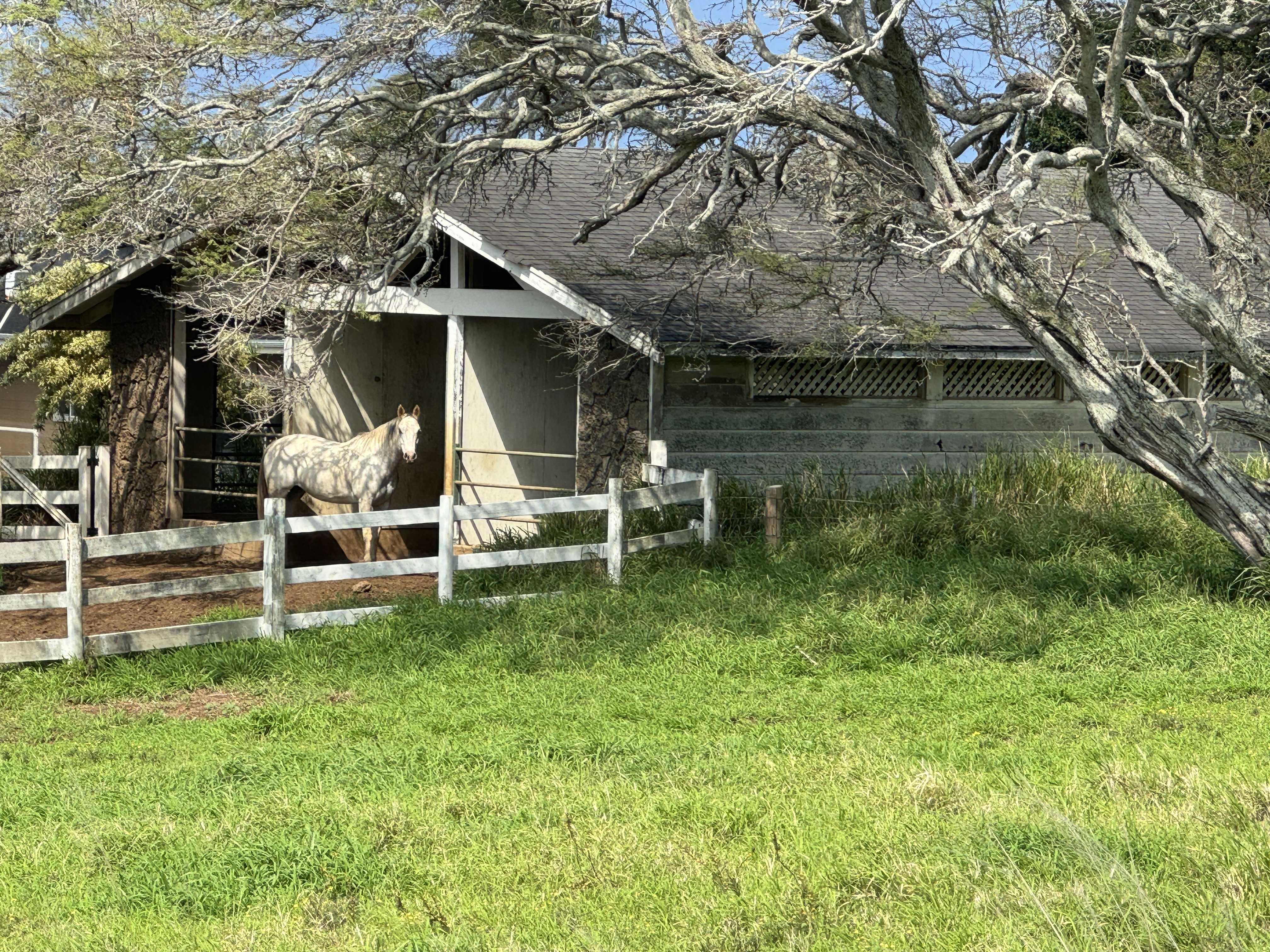 56-2951 PUAKEA BAY DR, Hawi, HI 96719