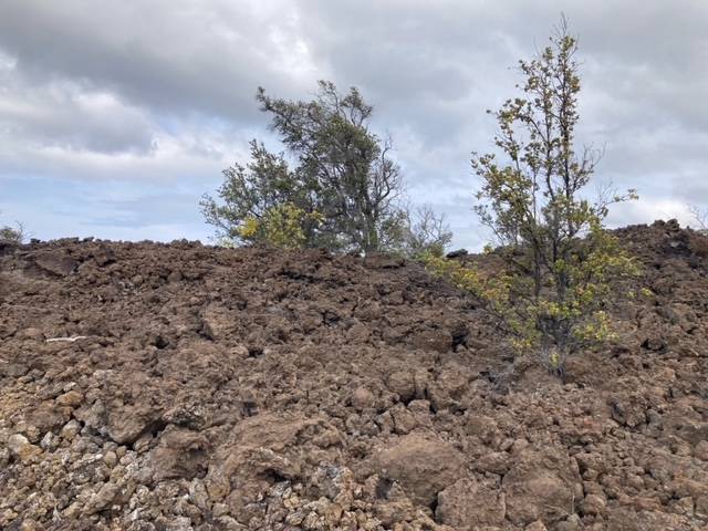 DONOLA DR, Ocean View, HI 96737