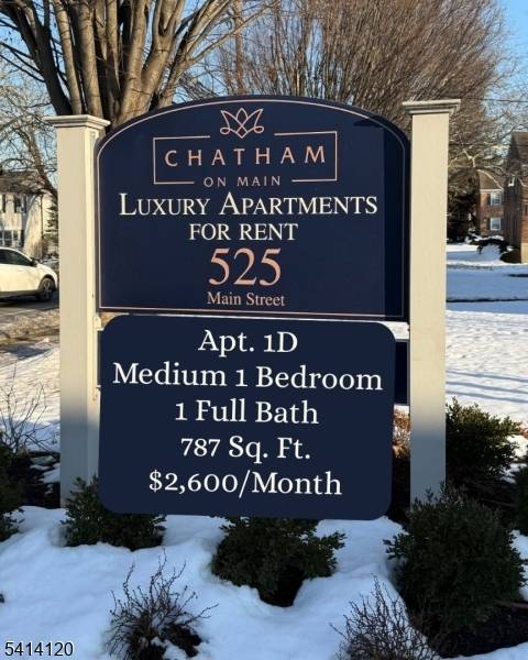 525 Main St - Apt. 1D #1D, Chatham Boro, NJ 07928
