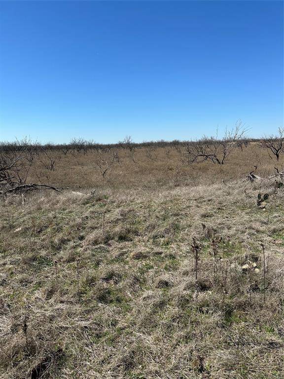Tract 20 CR 155, Abilene, TX 79601