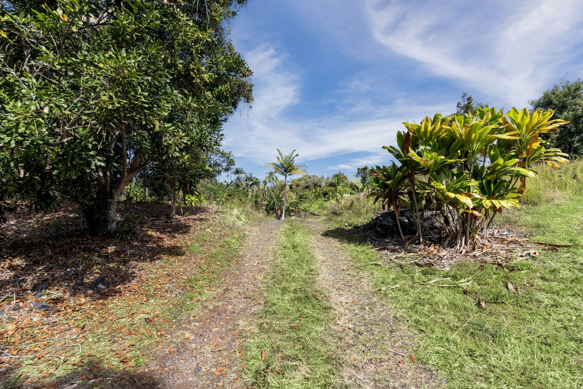 81-1045 KEOPUKA MAUKA RD, Captain Cook, HI 96750