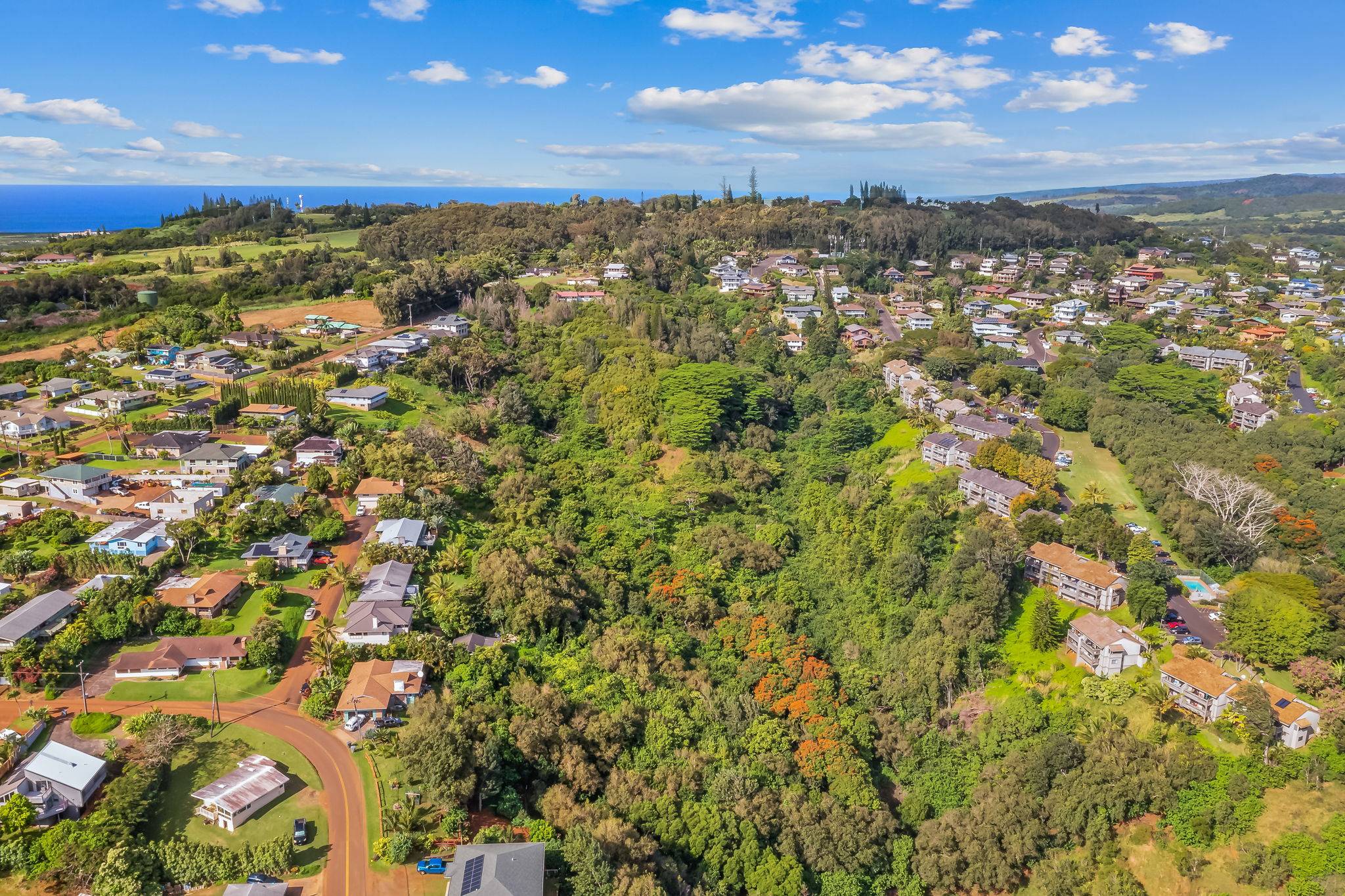 IKENA PL, Kalaheo, HI 96741