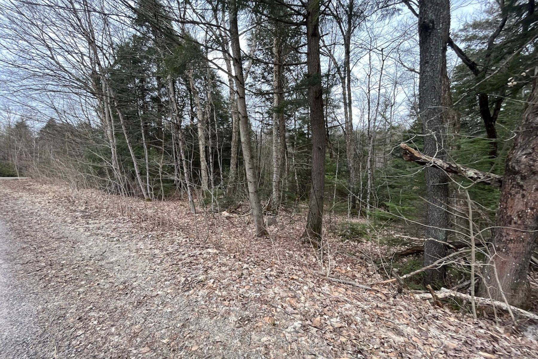 1031 HAVEN RD, Bracebridge, ON P1L 1X1