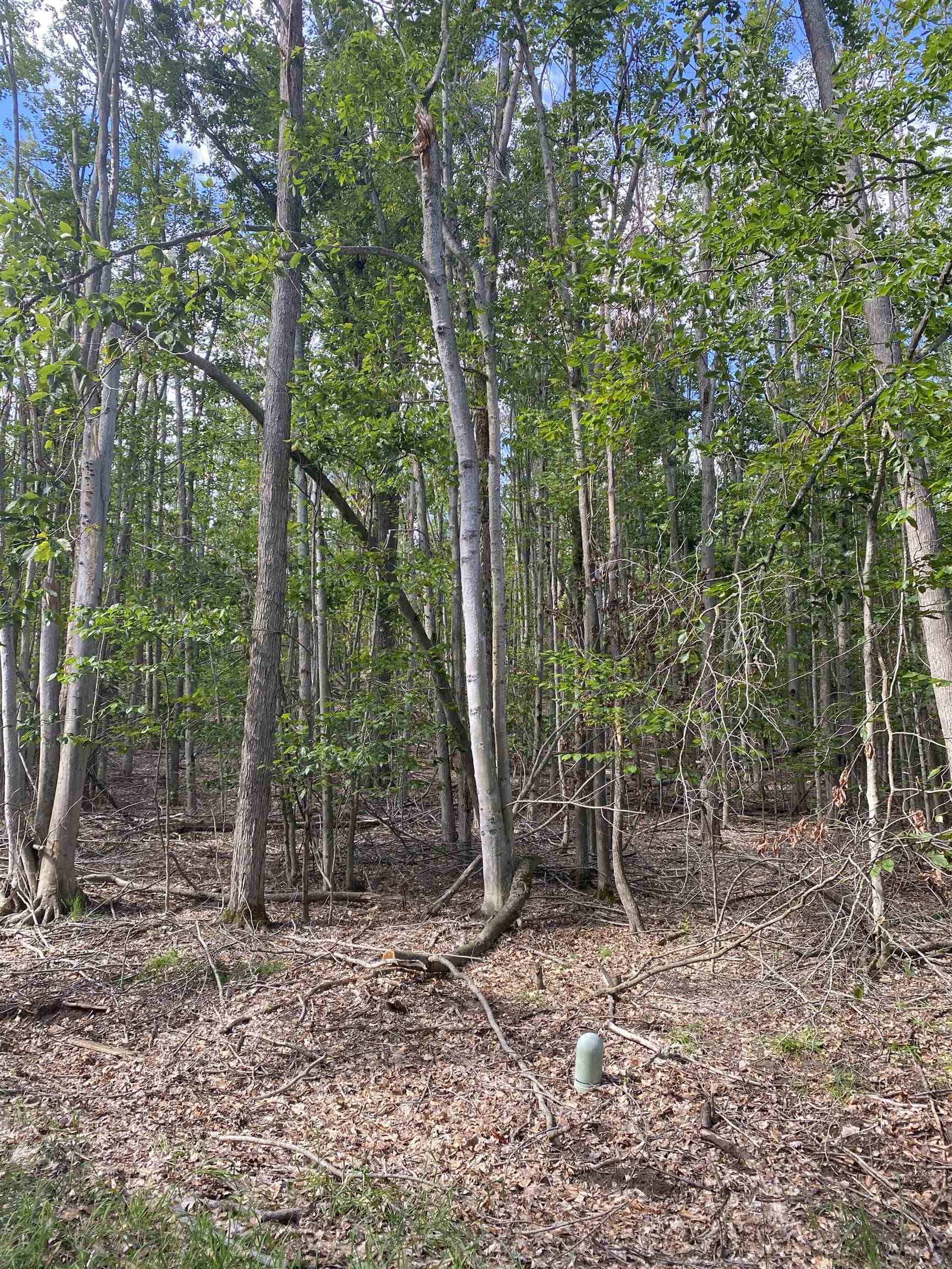 Lots 156 & 157 Hummingbird CT, Bagley Twp, MI 49735