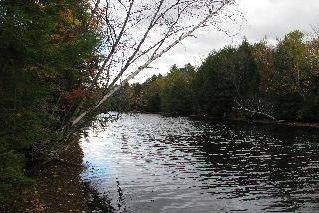 1260 Mathiasville RD, Bracebridge, ON P1L 1X1