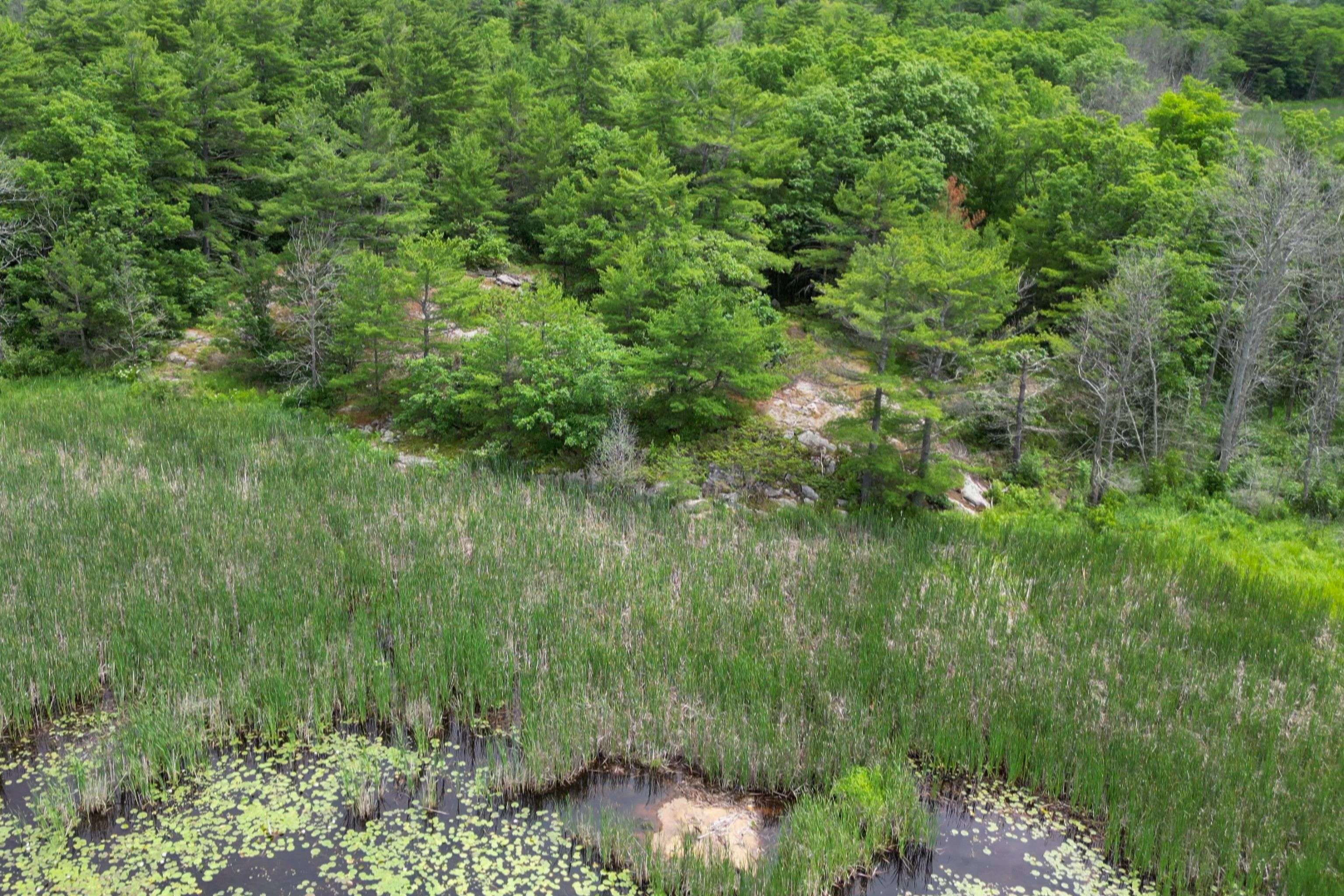 180 Prisque RD, Georgian Bay, ON P0E 1E0