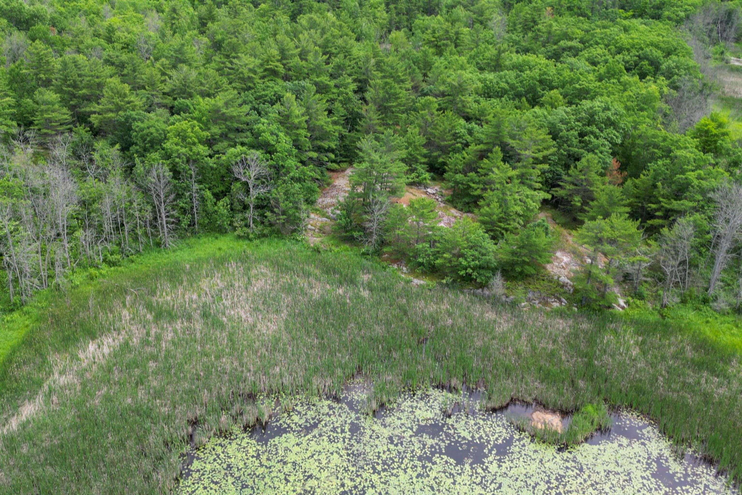 180 Prisque RD, Georgian Bay, ON P0E 1E0