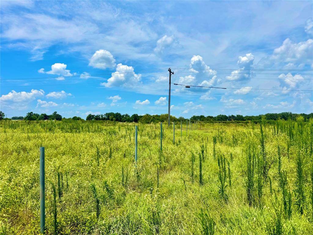 TBD Tract 24 County Rd 3644, Pickton, TX 75471
