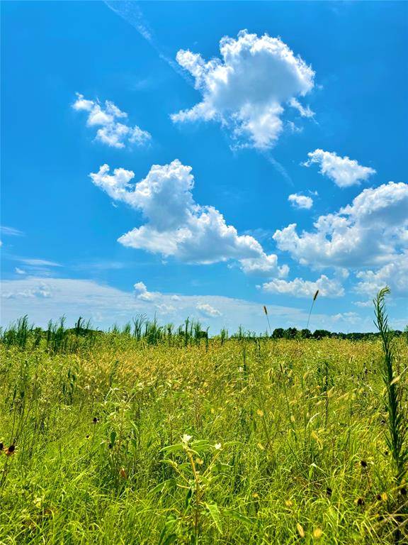 TBD Tract 24 County Rd 3644, Pickton, TX 75471