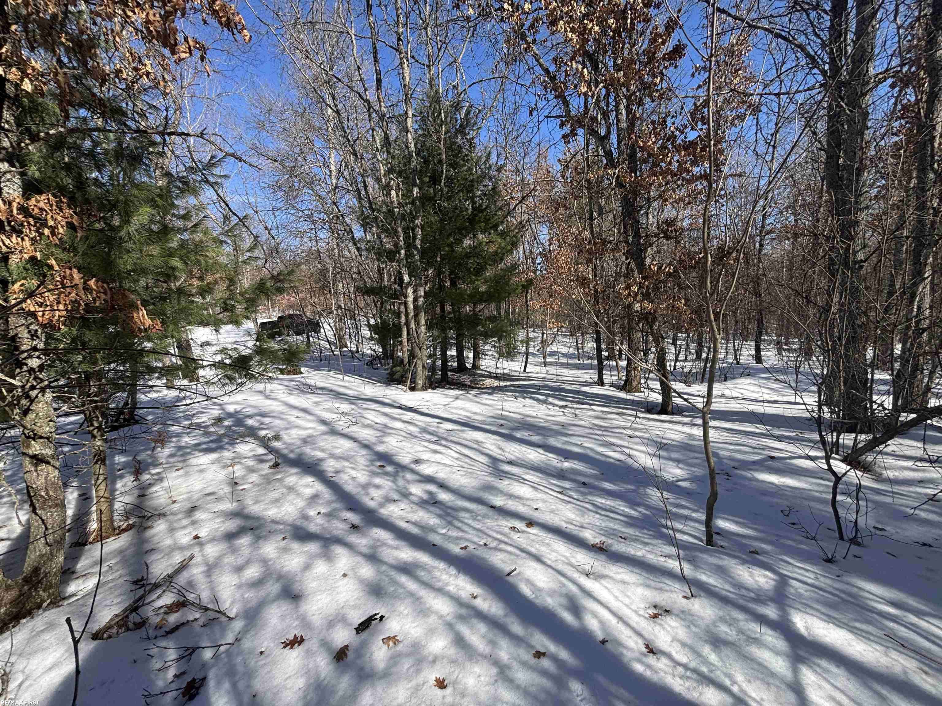 0 Pocahontas TRL, Beaver Creek Twp, MI 48653