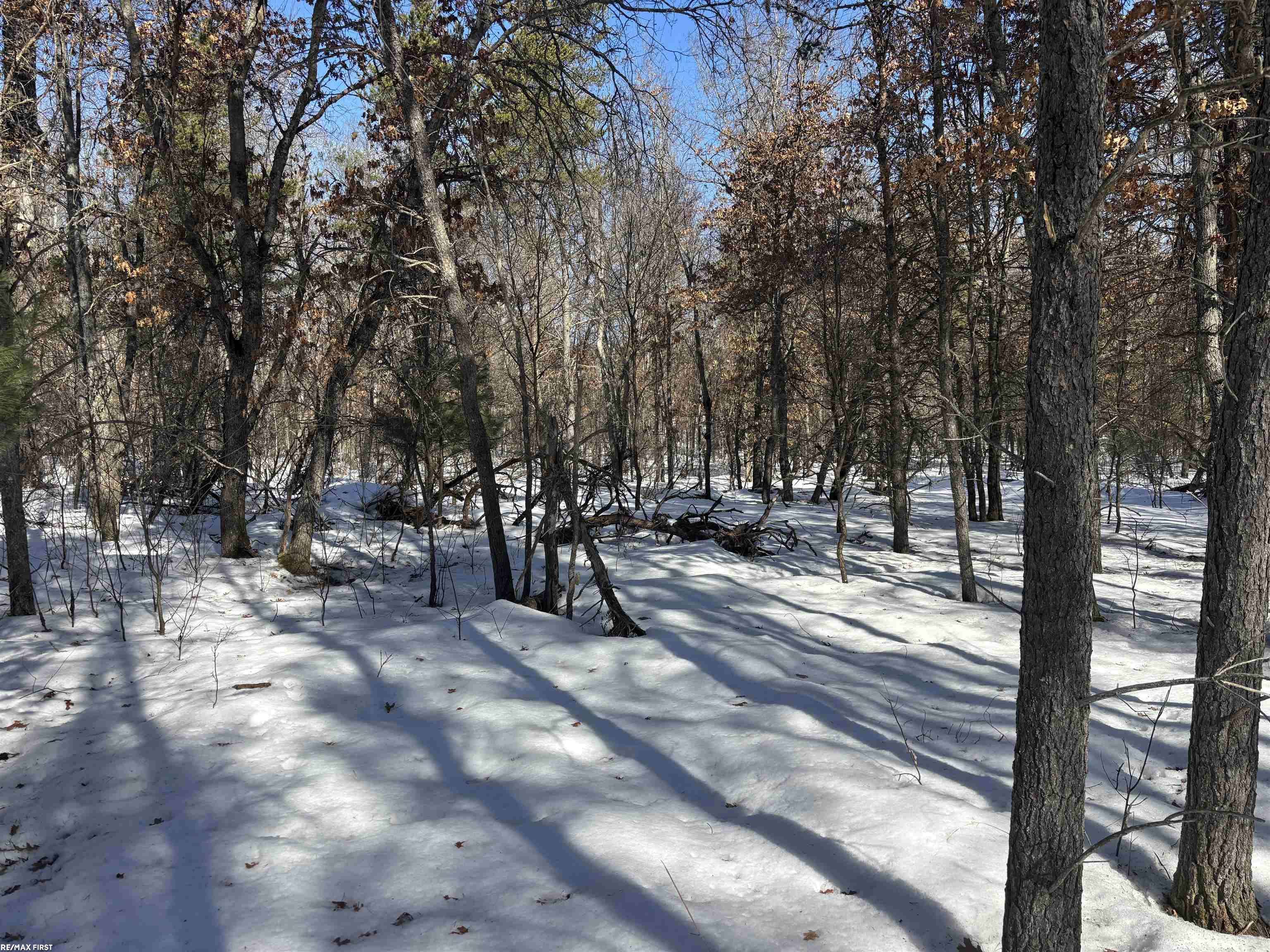 0 Pocahontas TRL, Beaver Creek Twp, MI 48653