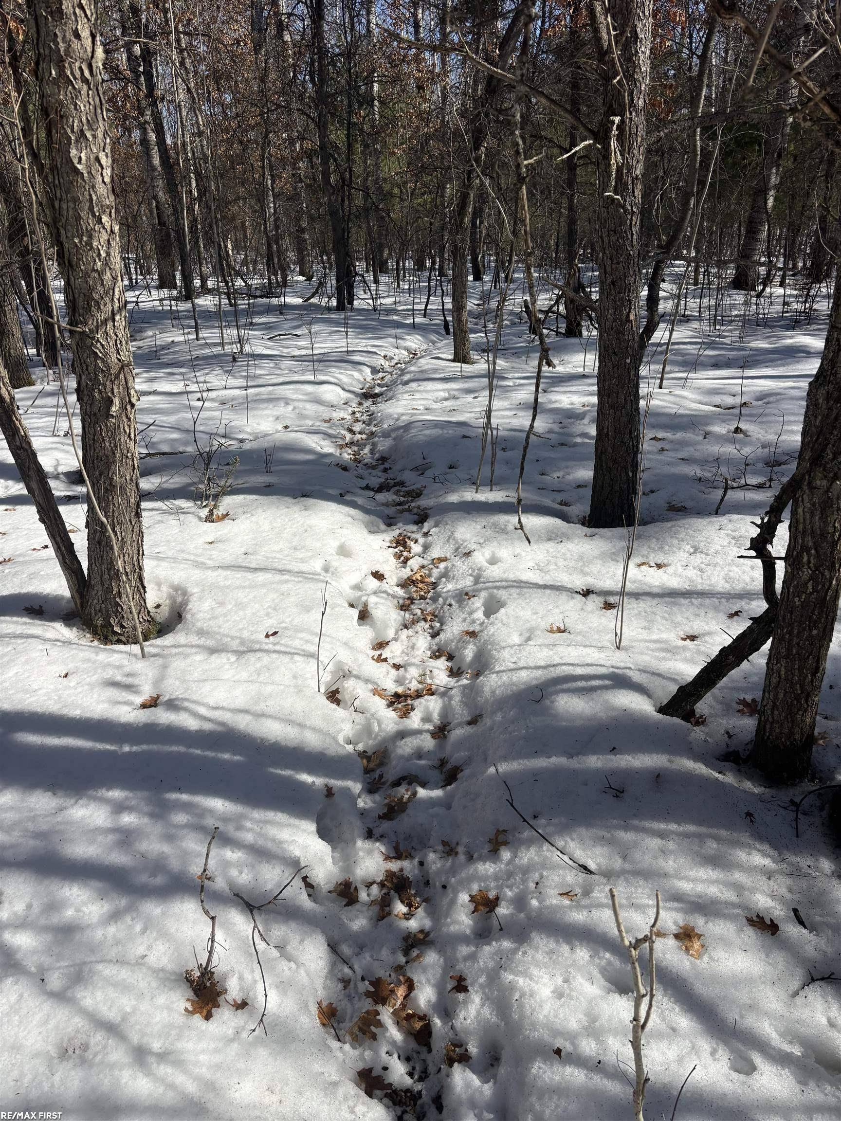 0 Pocahontas TRL, Beaver Creek Twp, MI 48653