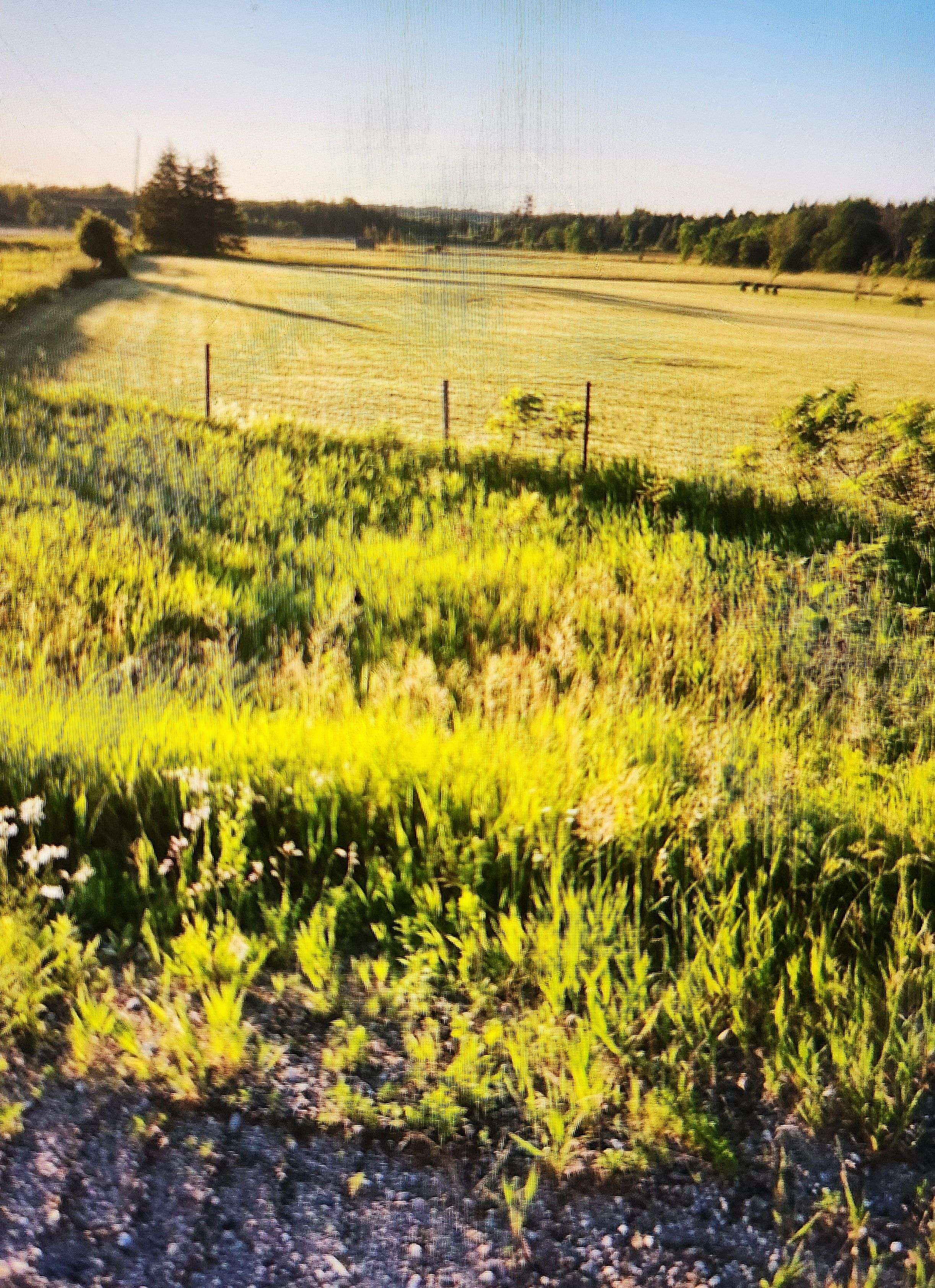 0 Sutherland RD, Whitewater Region, ON K0J 1K0