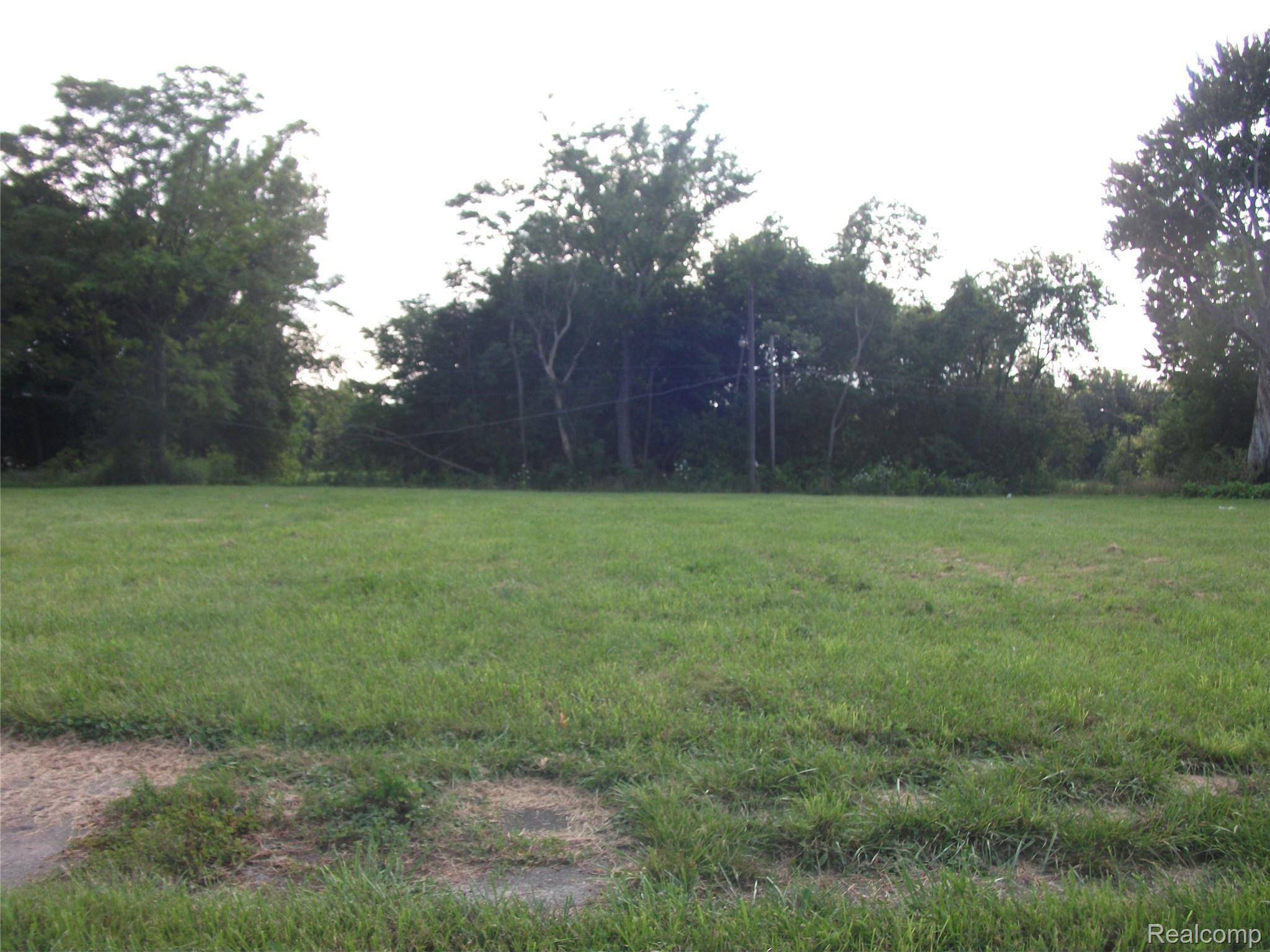 1131 NEWPORT, Detroit, MI 48215