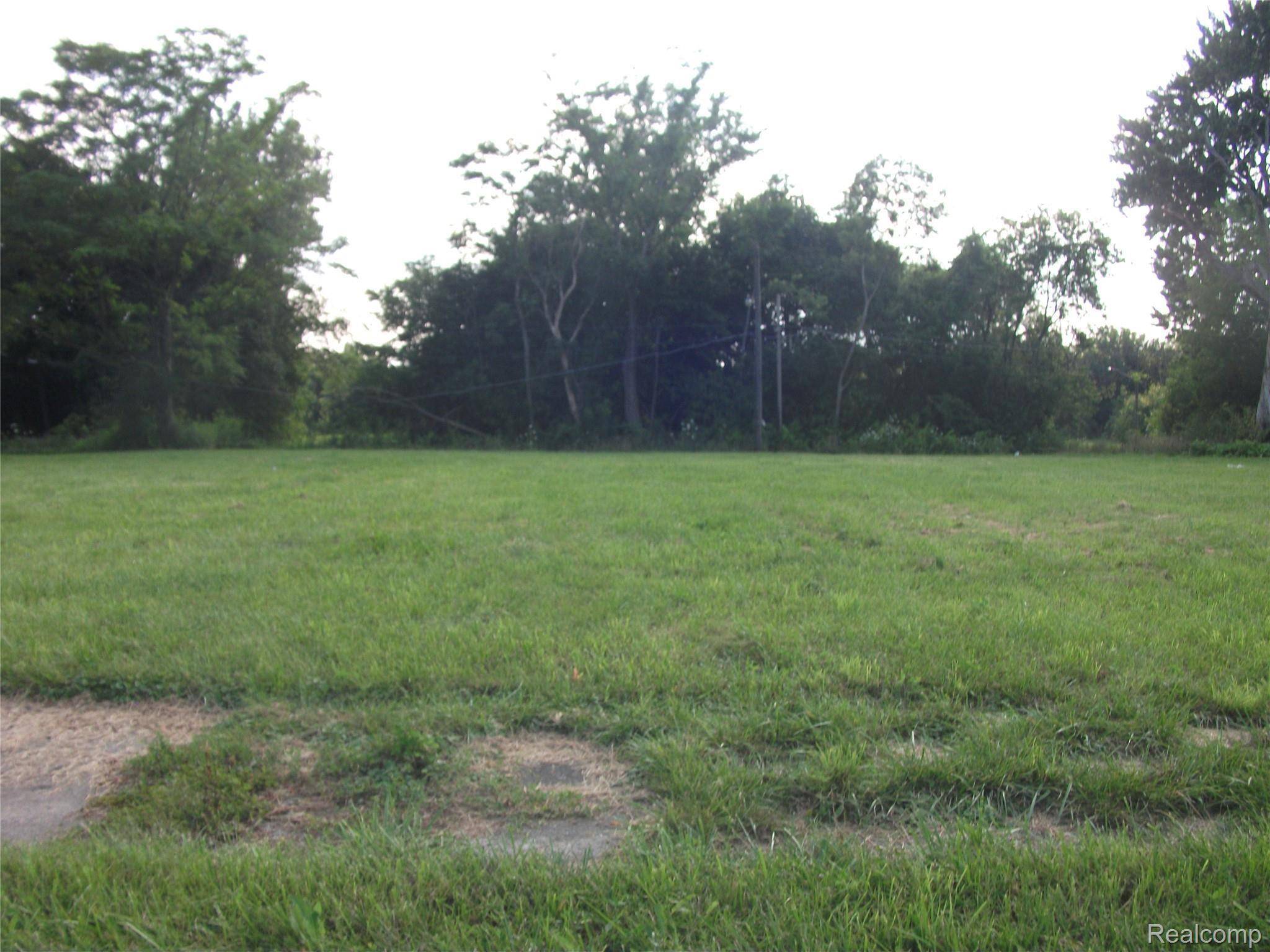 1131 NEWPORT, Detroit, MI 48215