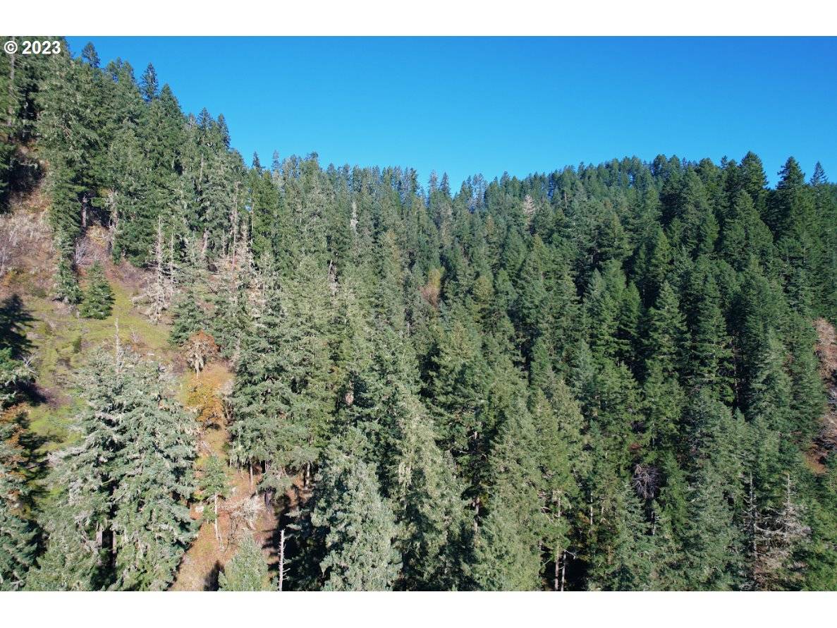 0 STATE HIGHWAY 38, Elkton, OR 97436